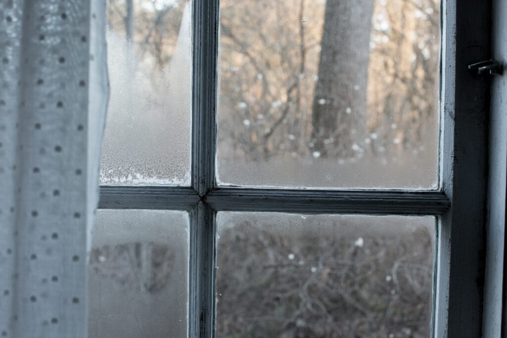 condensation on windows with cold winter woods scene outside the window