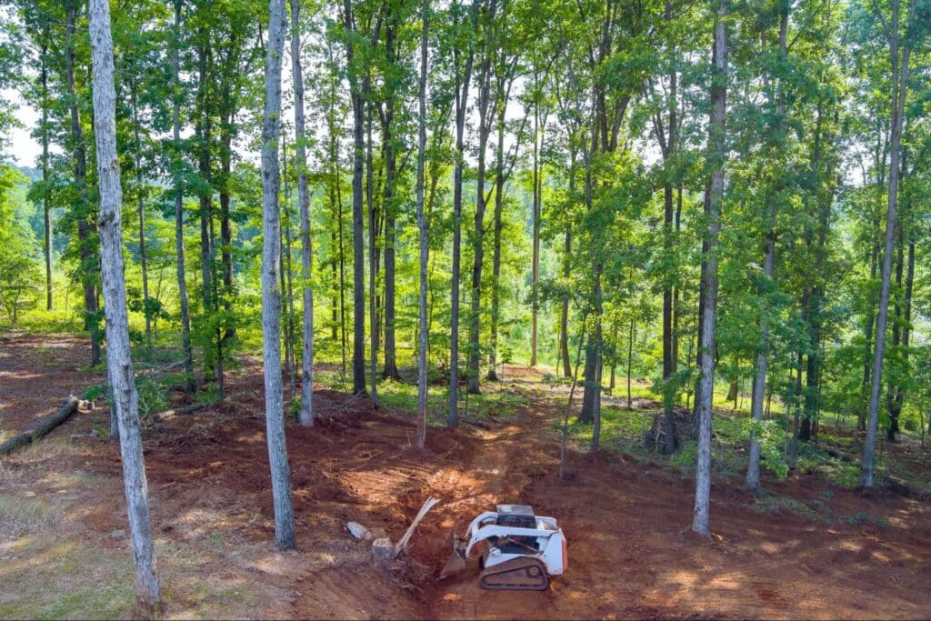 Tree removal equipment working in a forested area during clearing operation.