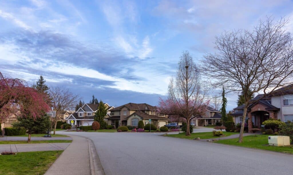 Tranquil suburban street at dusk with blooming trees and soft evening light.