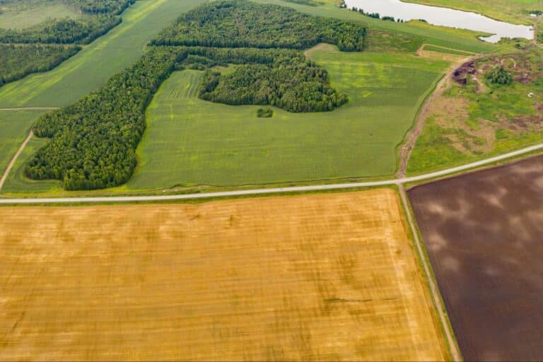 Aerial view of vibrant green fields and forests contrasting with agricultural areas.