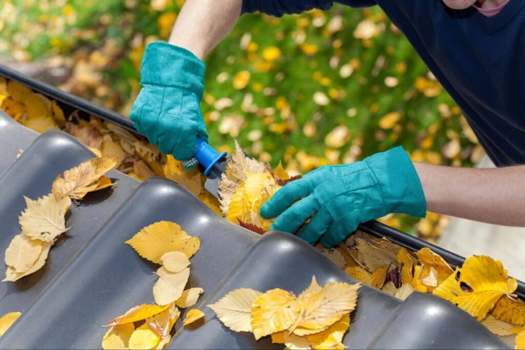 Clearing leaves from gutters for effective drainage and roof protection.